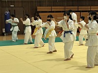 審査会